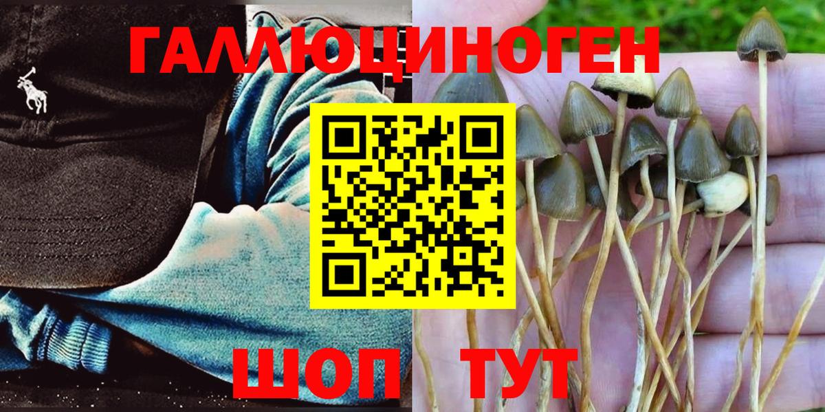 Псилоцибиновые грибы Psilocybine cubensis  сколько стоит  Алексеевка  Вход с VPN 