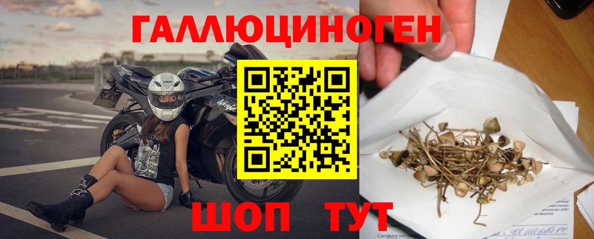 Псилоцибиновые грибы мухоморы Алексеевка